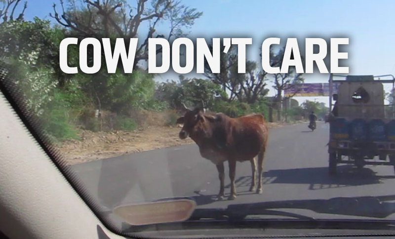 Illustration for article titled A Guide To Driving In India Without Dying